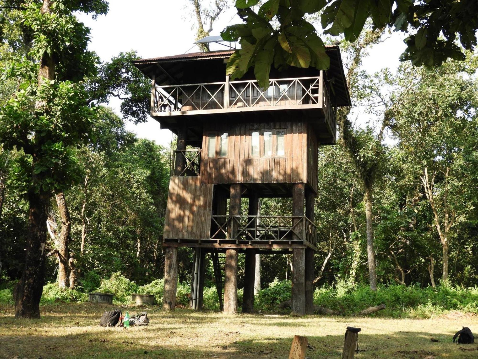 Typical Nepali Kitchen - No Pizza - No Pasta - No Problem !! Sauraha Exterior foto